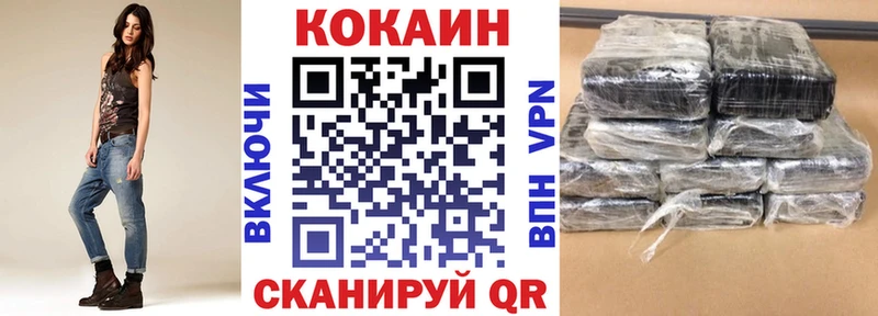 Cocaine Fish Scale  Купить закладки  Абакан 