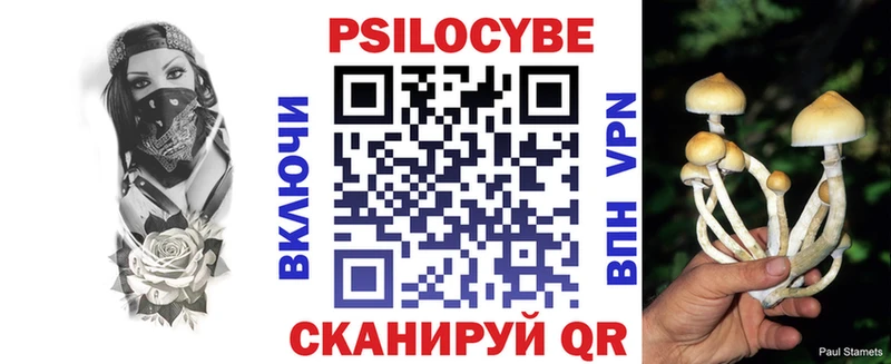 Псилоцибиновые грибы мухоморы  Купить  Абакан 